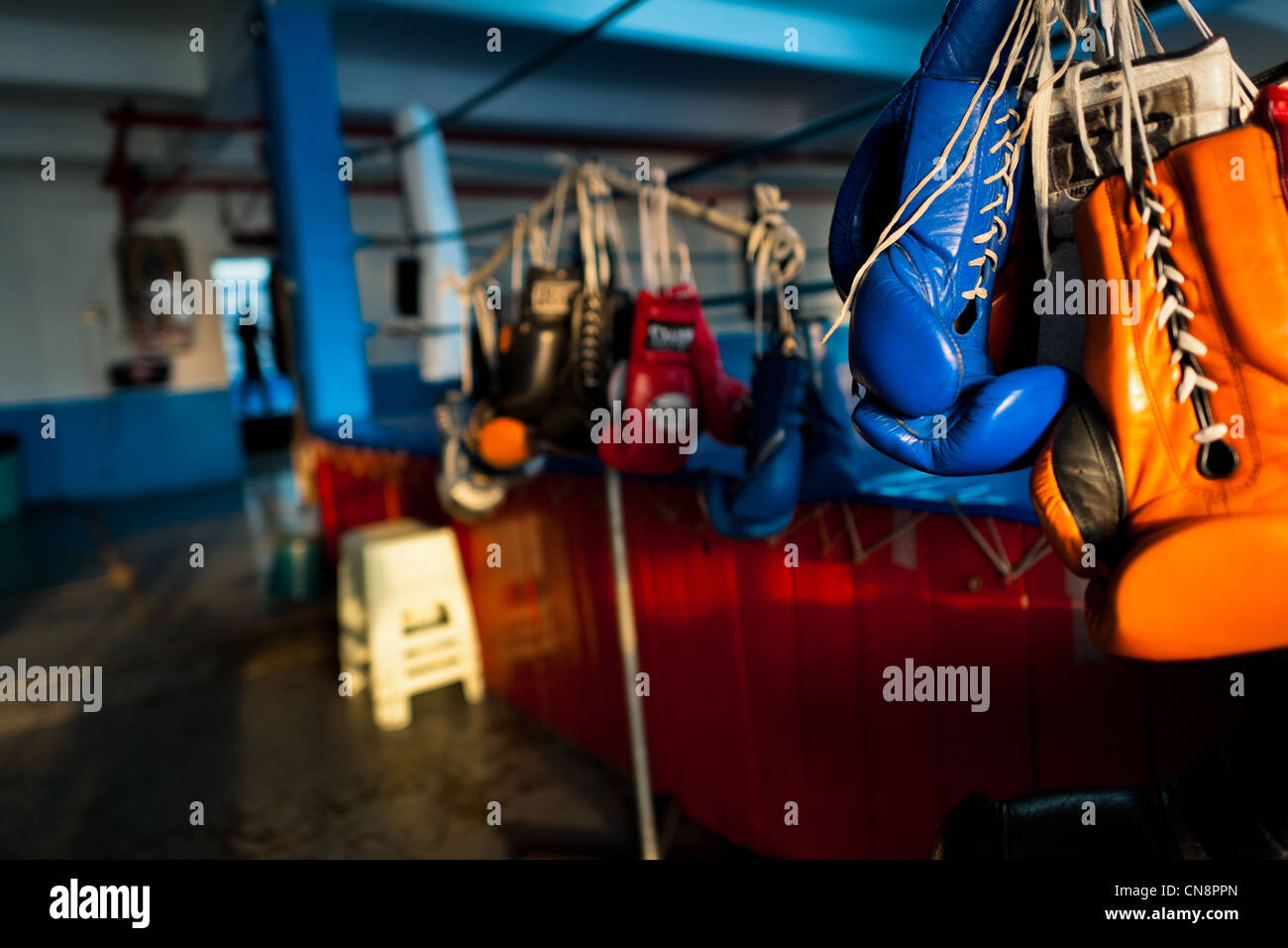 Gants de boxe colorés accrochés sur un rack dans le club de boxe dans la ville de Mexico, Mexique. Banque D'Images