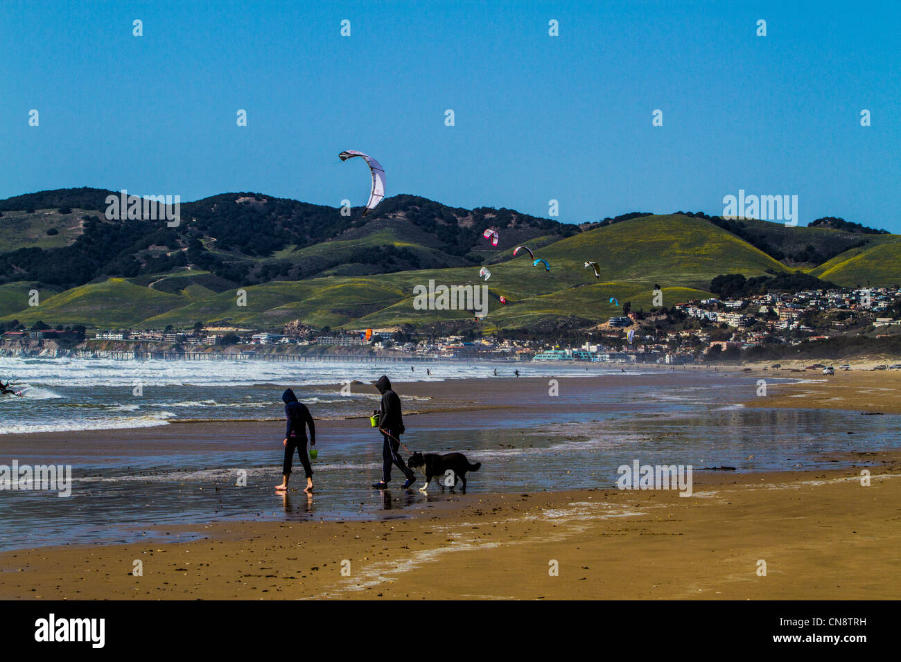 Pismo Beach Californie kite surfeurs Voitures Camions VUS de chiens Motorhomes Remorques à sellette et le chaos Banque D'Images