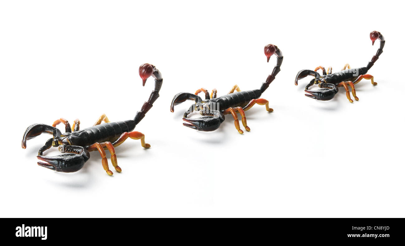 Scorpions en plastique Banque D'Images