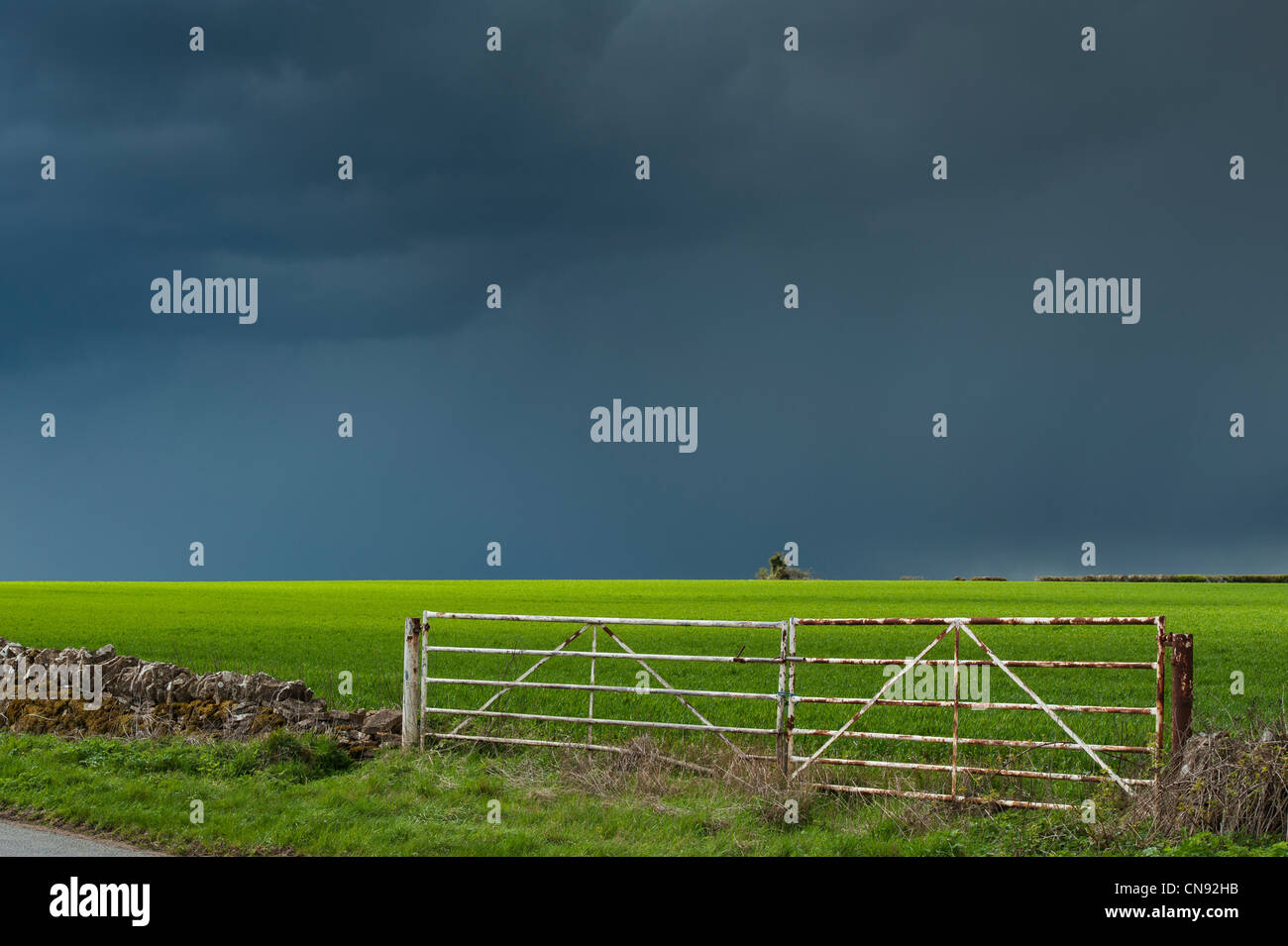Pluie nuages orageux sur une terrasse bien allumé champ de blé dans la campagne anglaise Banque D'Images