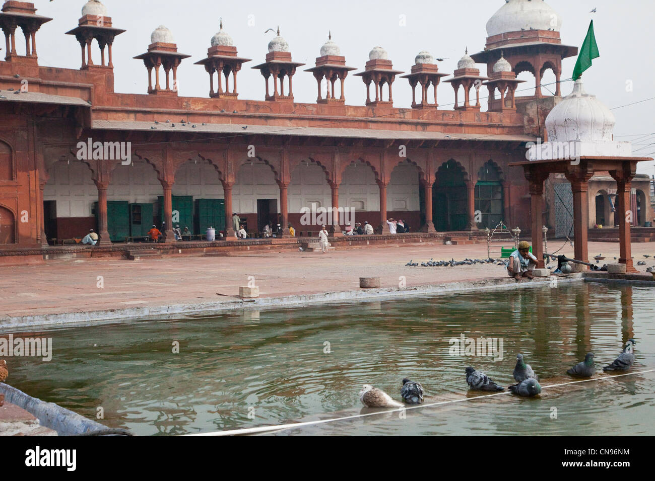 Agra, Inde. Cour de la Jama Masjid, la mosquée de vendredi. Ligne Chhatris le toit. Piscine pour les ablutions. Banque D'Images