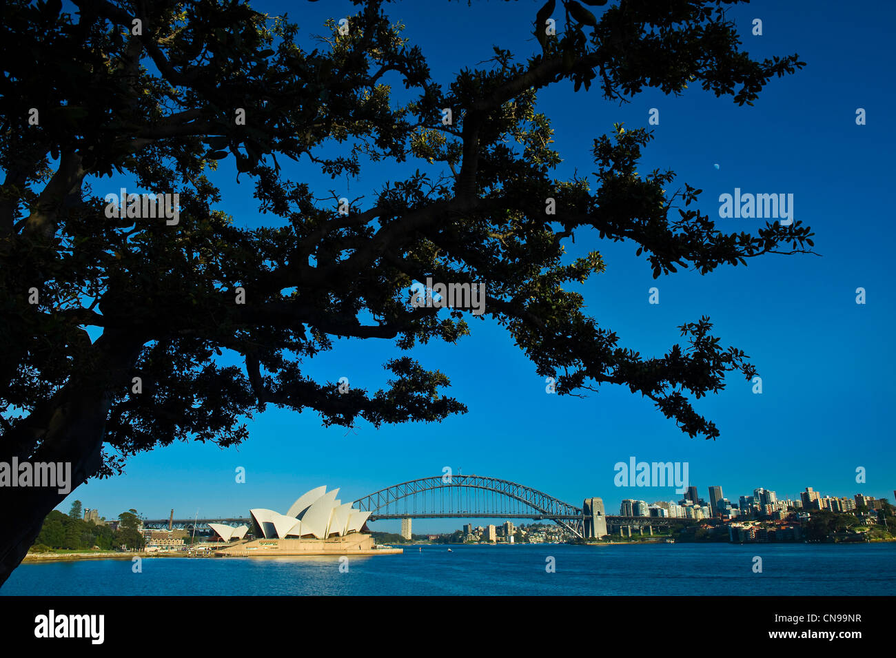 L'Australie, New South Wales, Sydney, l'Opéra de Sydney par l'architecture Jørn Utzon répertorié au Patrimoine Mondial de l'UNESCO et le Banque D'Images