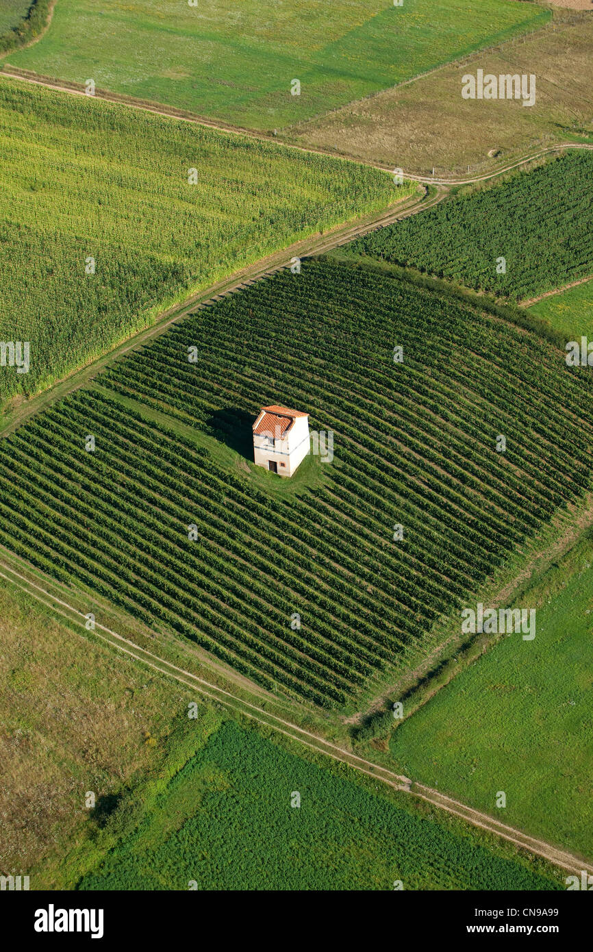 France, Loire, Champdieu, vignes AOC Côtes du Forez (vue aérienne) Banque D'Images