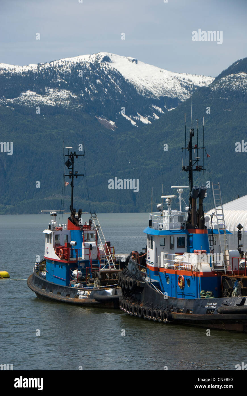 Tug bateaux amarrés dans la baie Howe, Squamish, Colombie Britannique, Canada Banque D'Images