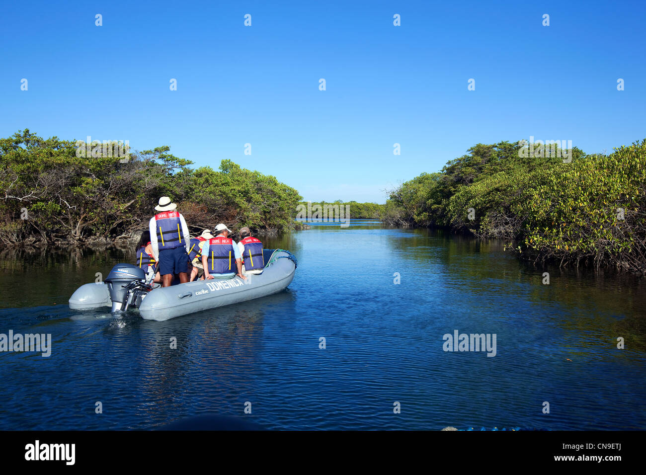 L'Équateur, Îles Galápagos, inscrite au Patrimoine Mondial de l'UNESCO, l'île Isabela, Elizabeth Bay, voyage en bateau dans le caoutchouc Banque D'Images