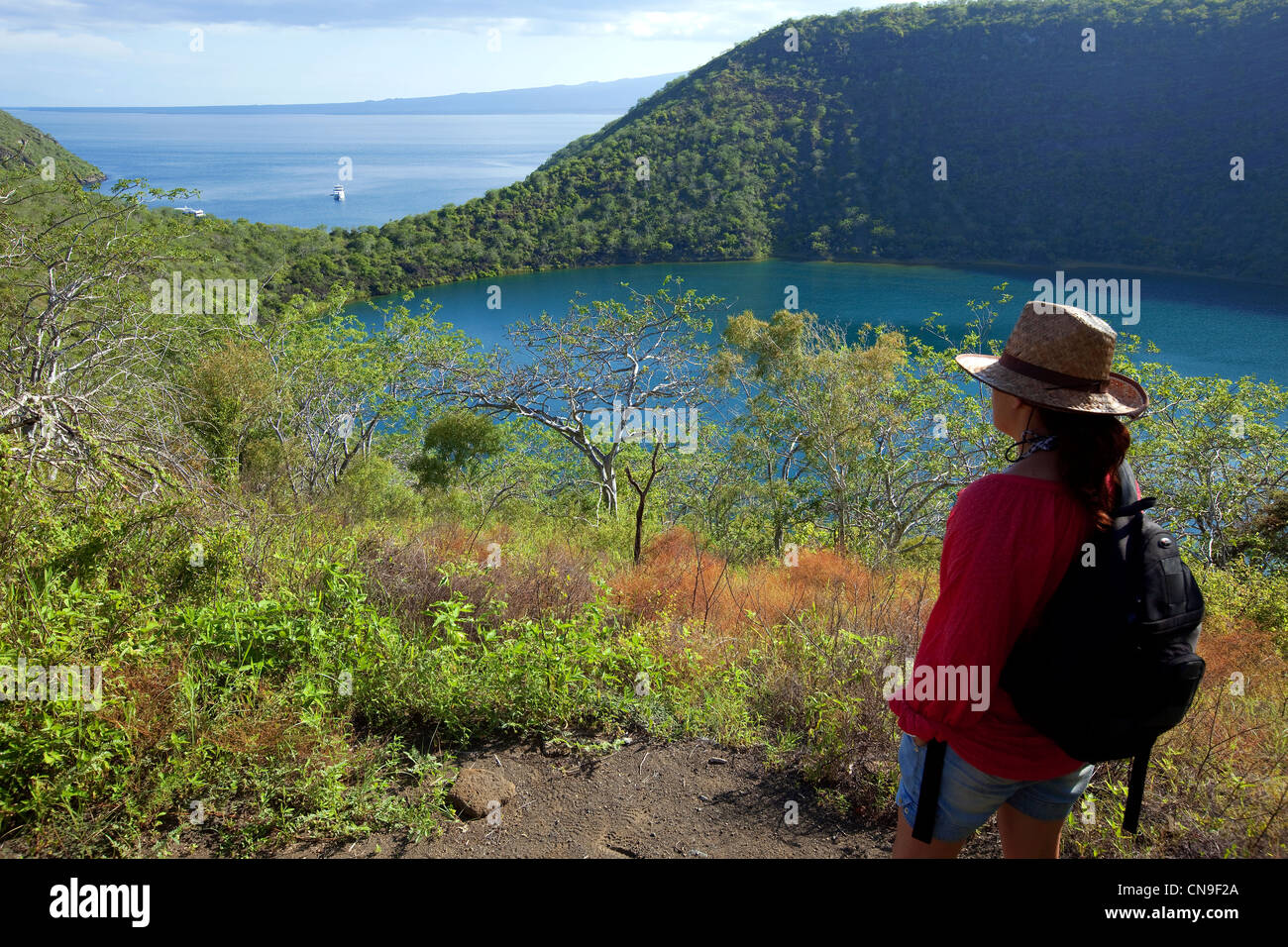 L'Équateur, Îles Galápagos, inscrite au Patrimoine Mondial de l'UNESCO, l'île Isabela, Caleta Tagus, randonnée au lac Darwin Banque D'Images