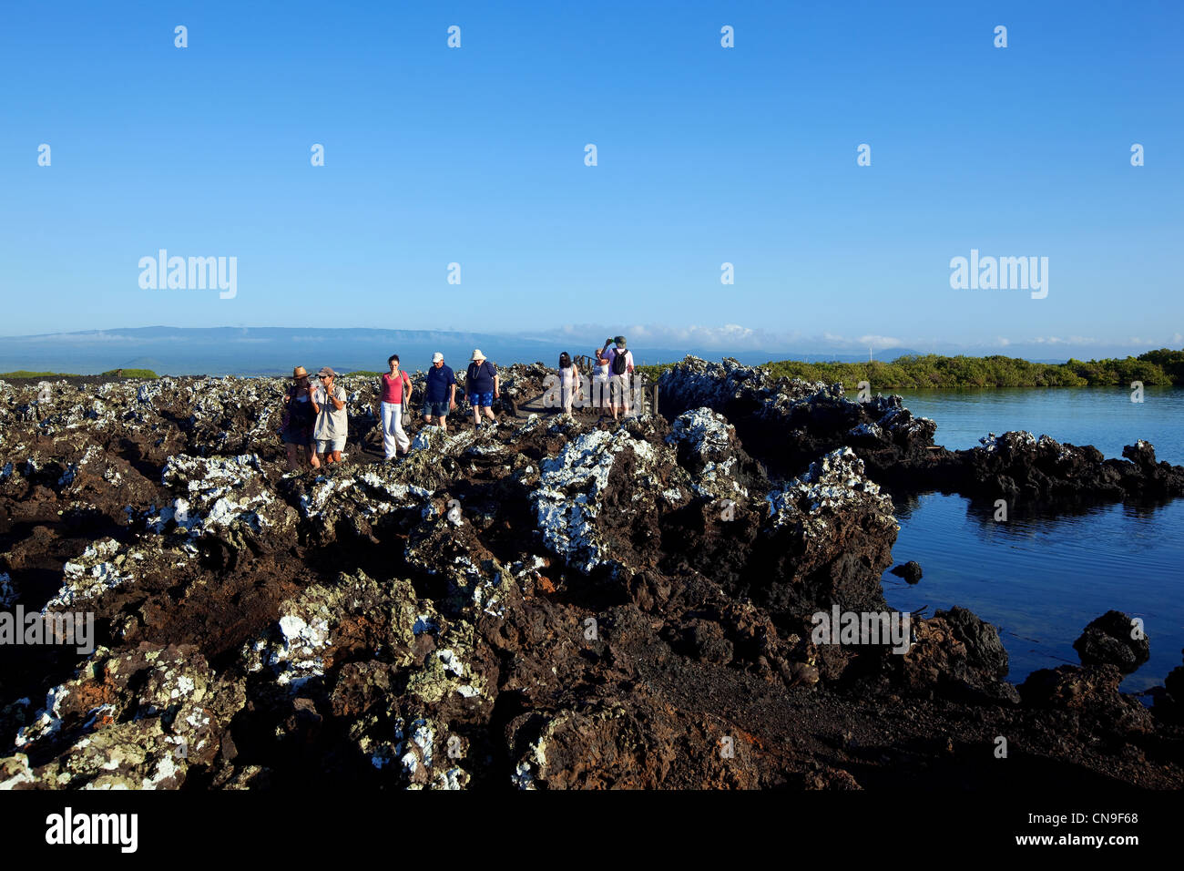 L'Équateur, Îles Galápagos, inscrite au Patrimoine Mondial de l'UNESCO, l'île Isabela, Puerto Villamil, île Tintoreras, touristes Banque D'Images
