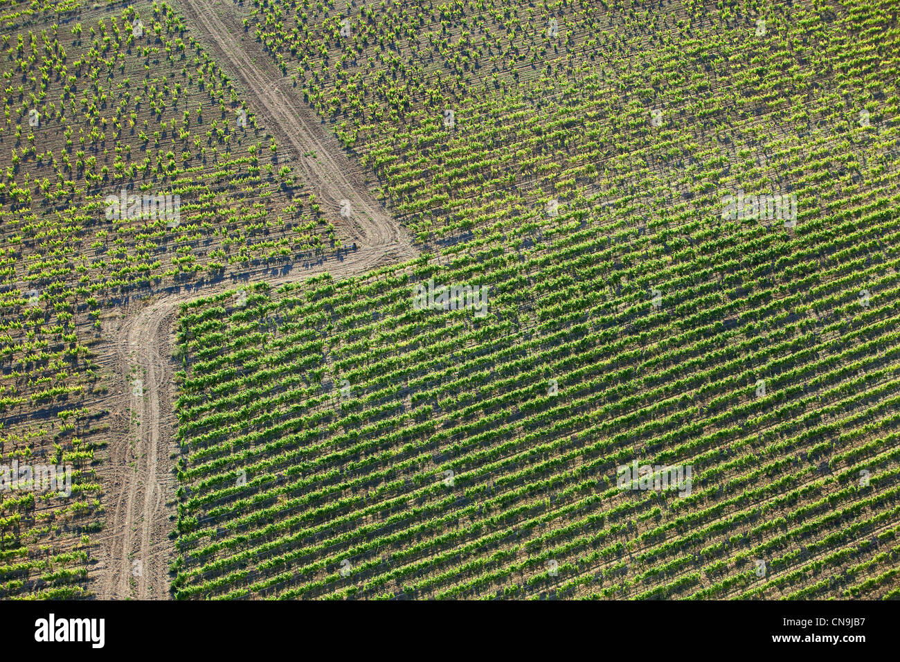 La France, Vaucluse, Ste Cécile les vignes, le domaine de la Grand'Ribe, vignes AOC Côtes du Rhône (vue aérienne) Banque D'Images