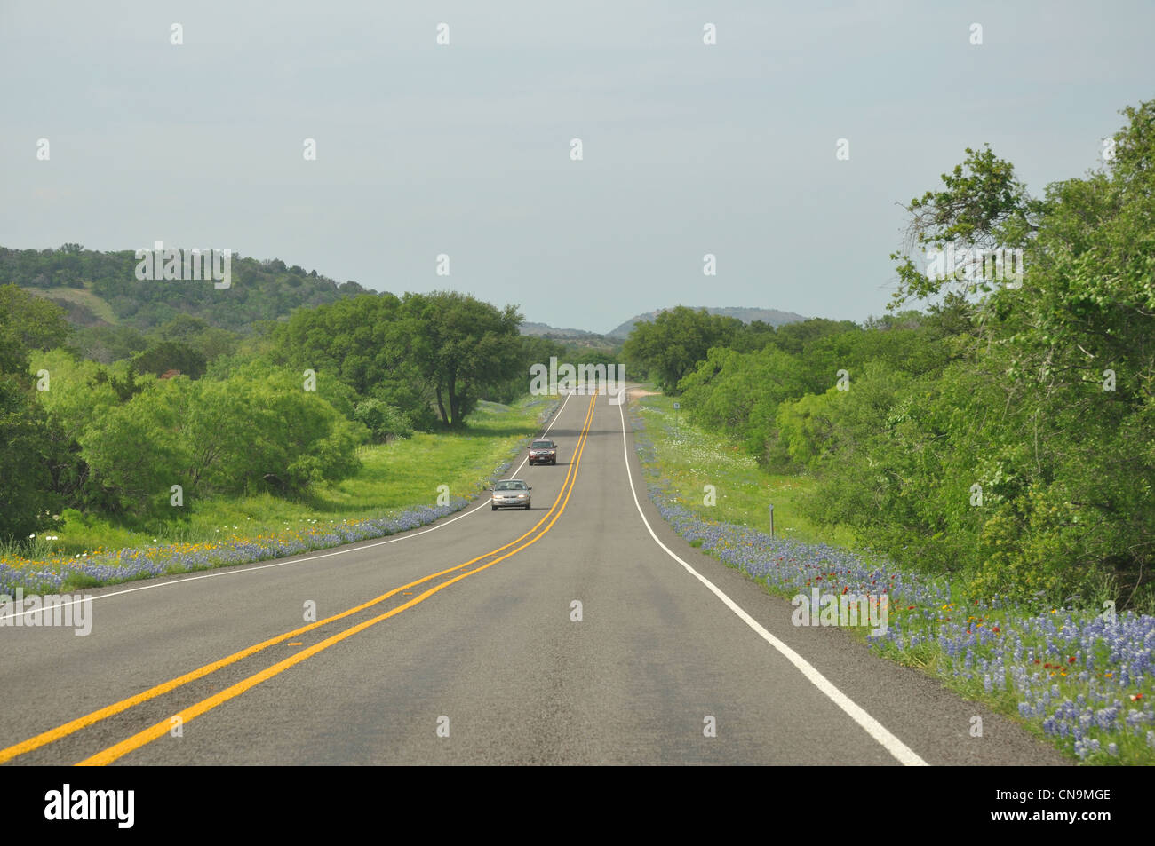 Scenic Route et bluebonnets, Texas, États-Unis Banque D'Images Scenic Route et bluebonnets, Texas, États-Unis Banque D'Images
