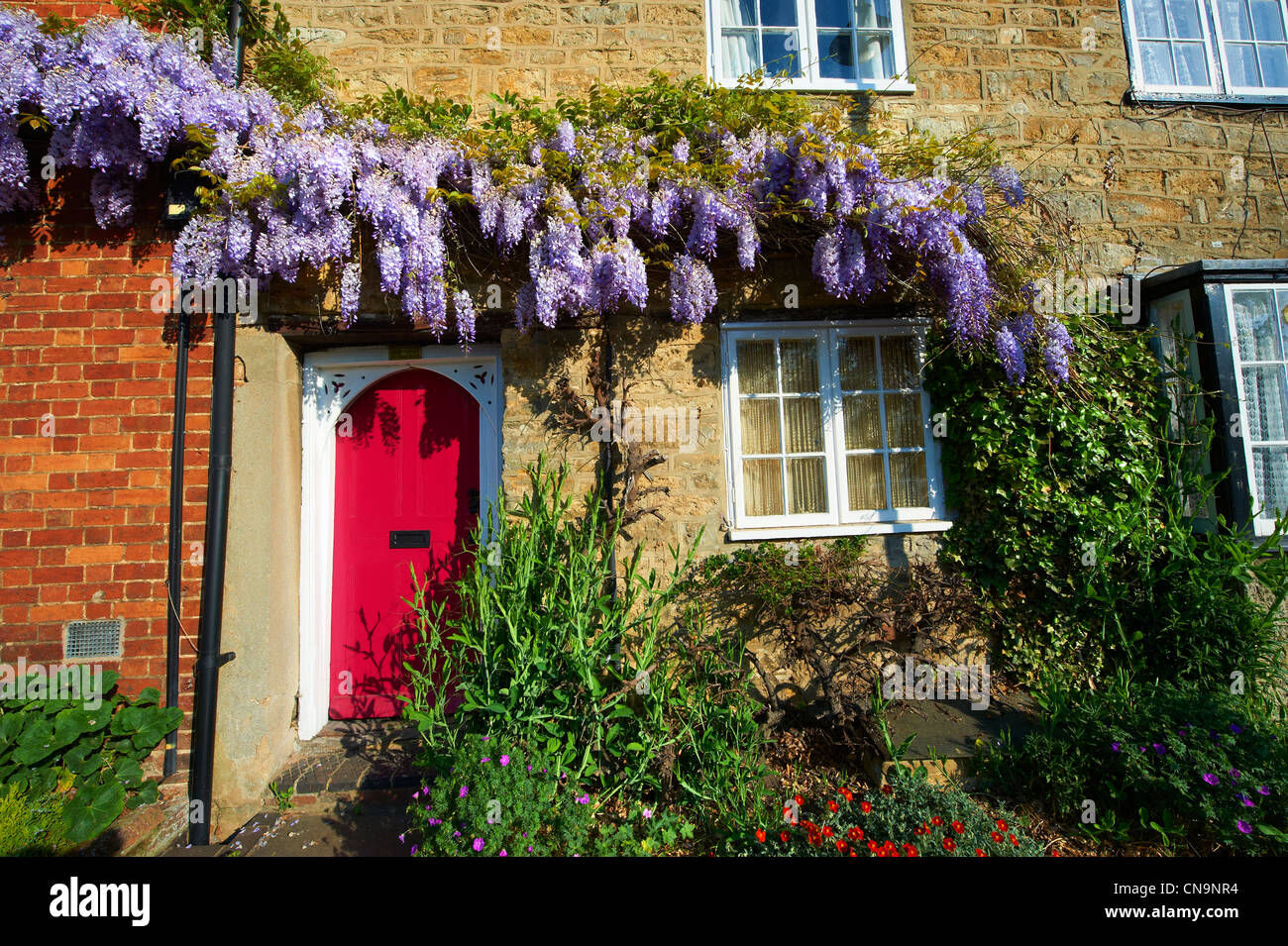 Chalets Ville de glycine poussent sur eux. High Street, Buckingham Bucks Banque D'Images