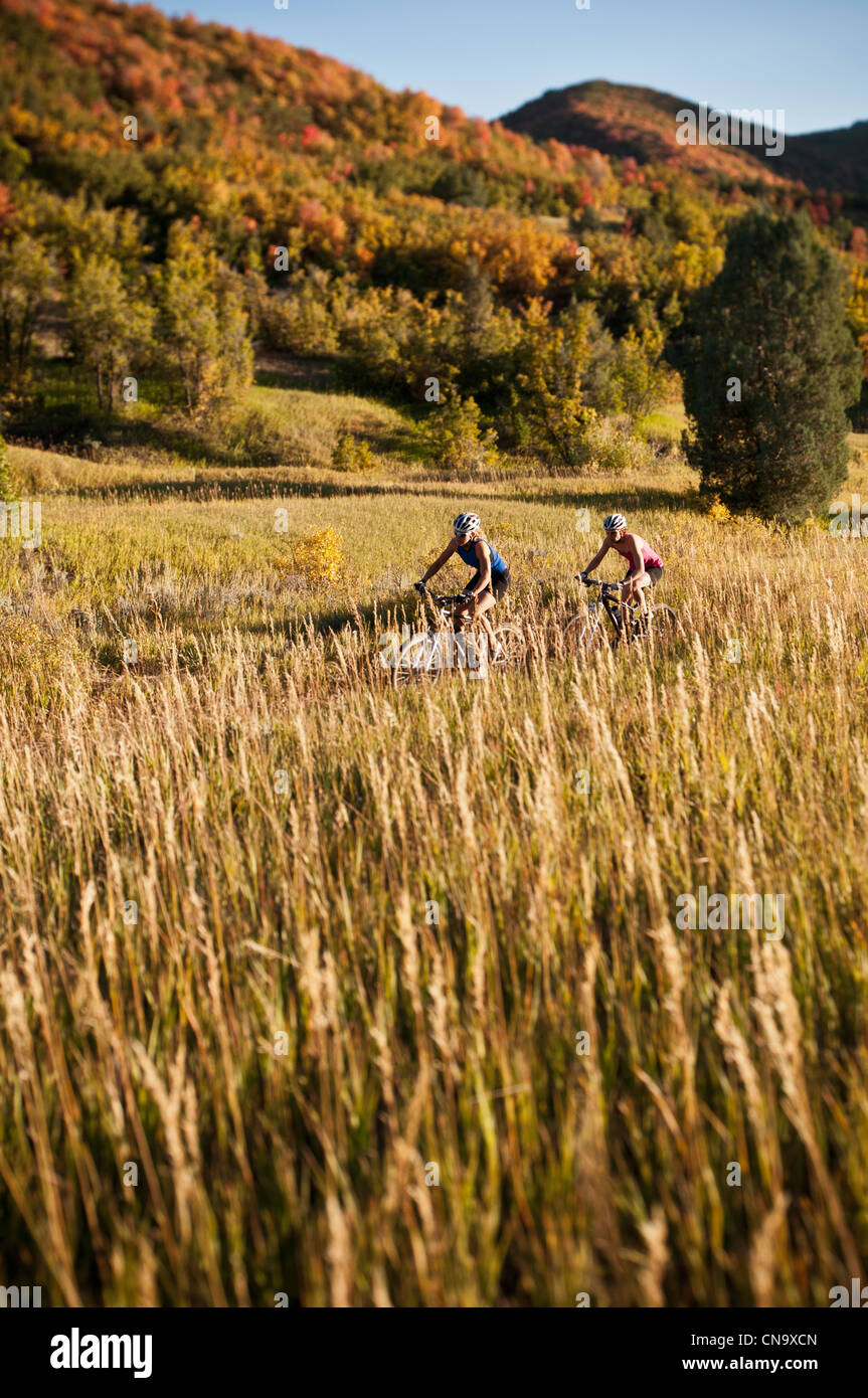 Vélo de montagne dans la zone Banque D'Images