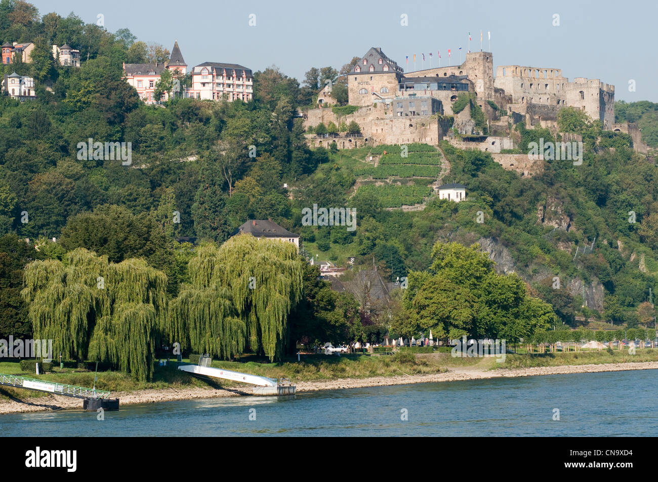 Allemagne, Rheinland-pfalz, château de Rheinfels, le Rhin romantique inscrite au Patrimoine Mondial de l'UNESCO Banque D'Images