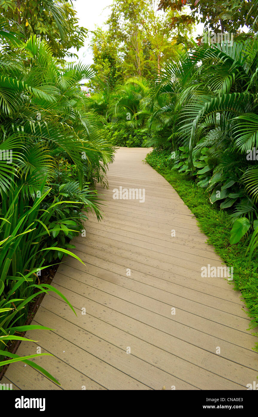 Walkway entouré par des buissons dans Sentosa, Singapour Banque D'Images