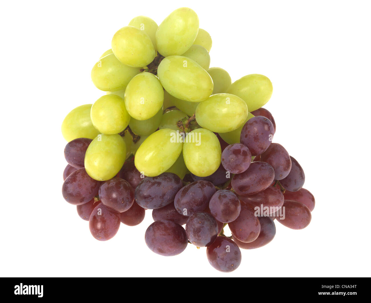 Grappe de raisin Banque D'Images