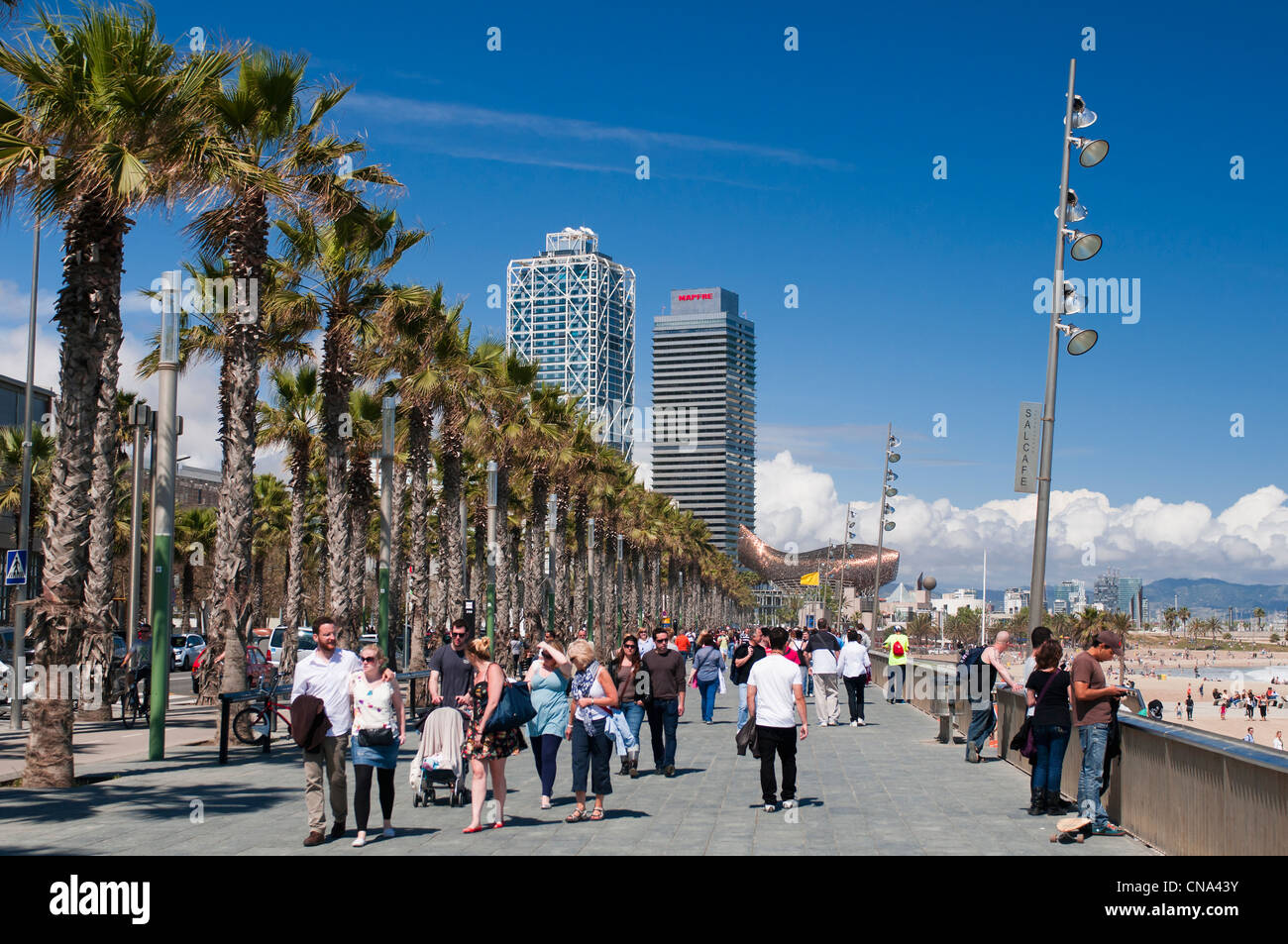 Espagne, Catalogne, Barcelone, La plage de Barceloneta, l'hôtel Arts et la Tour Mapfre, dans l'arrière-plan la Peix ou la Ballena Banque D'Images