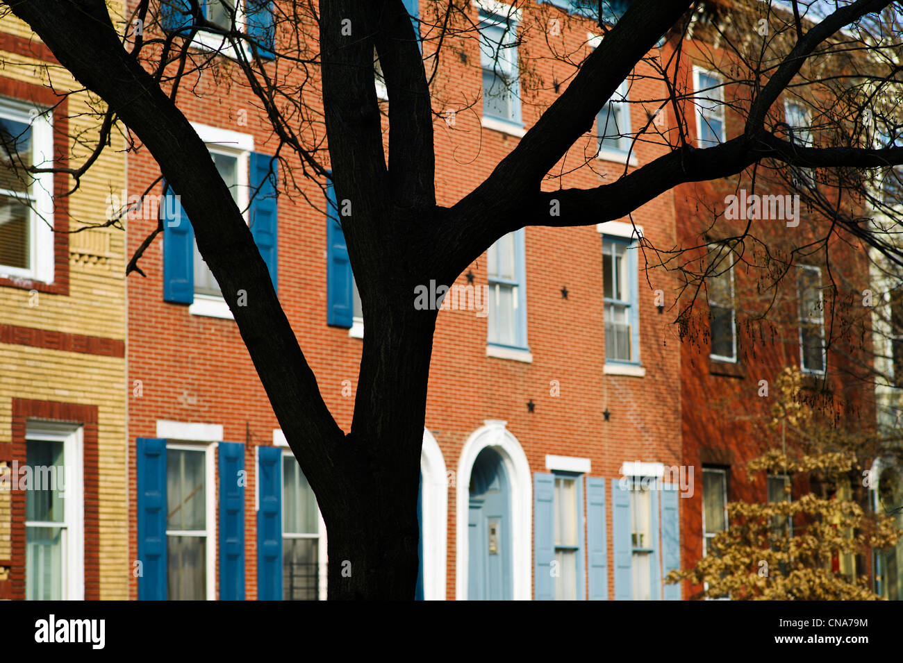 Les maisons en rangée sur rue résidentielle dans la section de Fairmount centre-ville de Philadelphie, Pennsylvanie, USA Banque D'Images