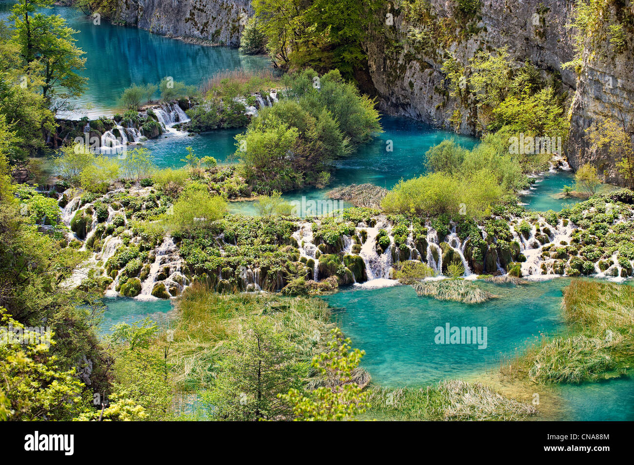 L'eau minérale de Plitvice Lacs et chutes d'eau. Les lacs de Plitvice (Parc National Plitvička ), la Croatie. Site du patrimoine mondial de l'UNESCO Banque D'Images