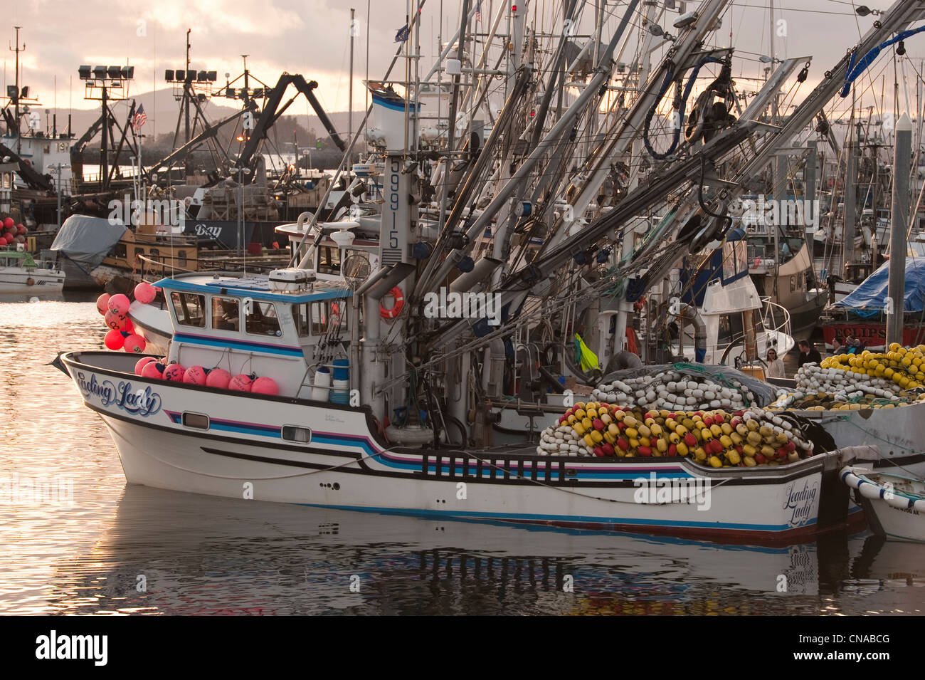 La flotte de pêche du hareng rogué Sac amarré dans le port de Thomsen de Sitka, Alaska, USA. Banque D'Images