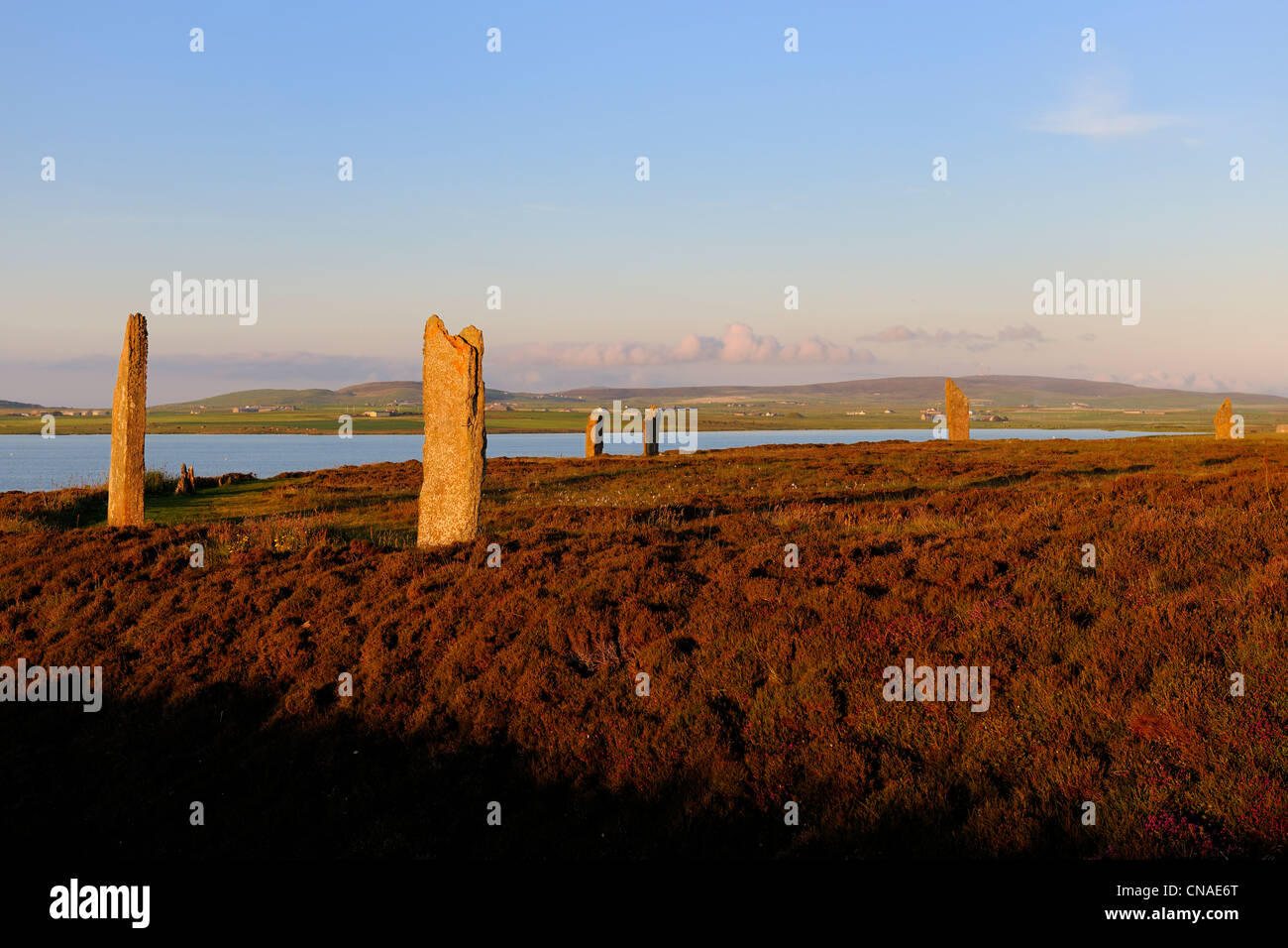 Royaume-uni, Ecosse, Orkney Islands, Île continentale, à côté du Loch de Stenness, cromlech (cercle de pierre) de la Banque D'Images
