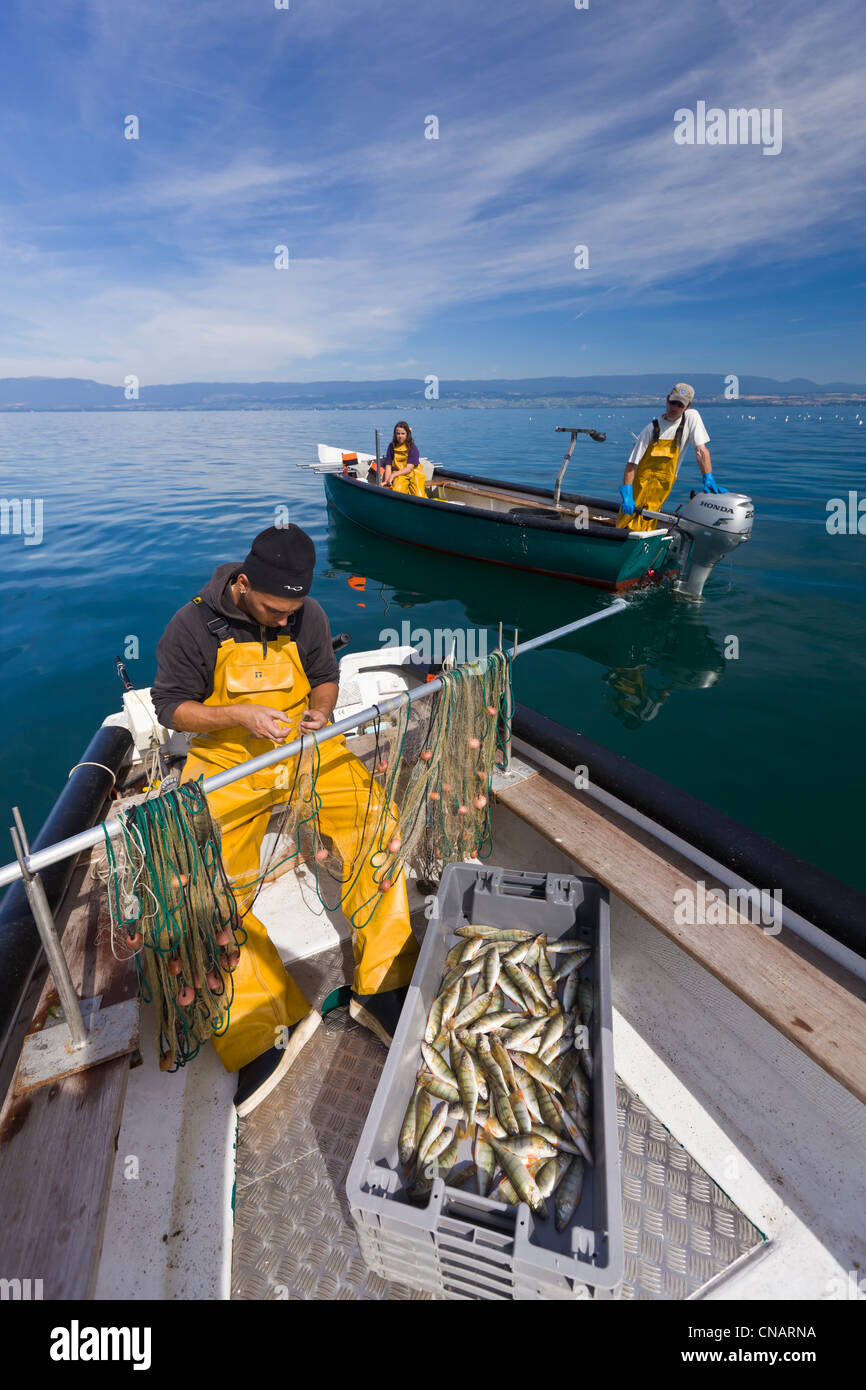 France, Haute Savoie, Le Chablais, Thonon les Bains, de perchoirs et de  pêche pêcheur crawfishes sur le Lac Léman Photo Stock - Alamy