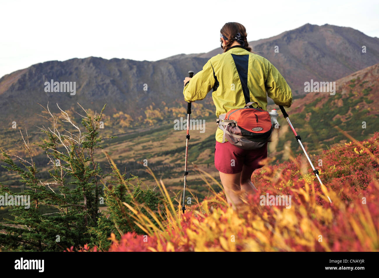 Female hiker on Flattop Mountain Trail in Chugach State Park, Anchorage, Southcentral Alaska, automne Banque D'Images