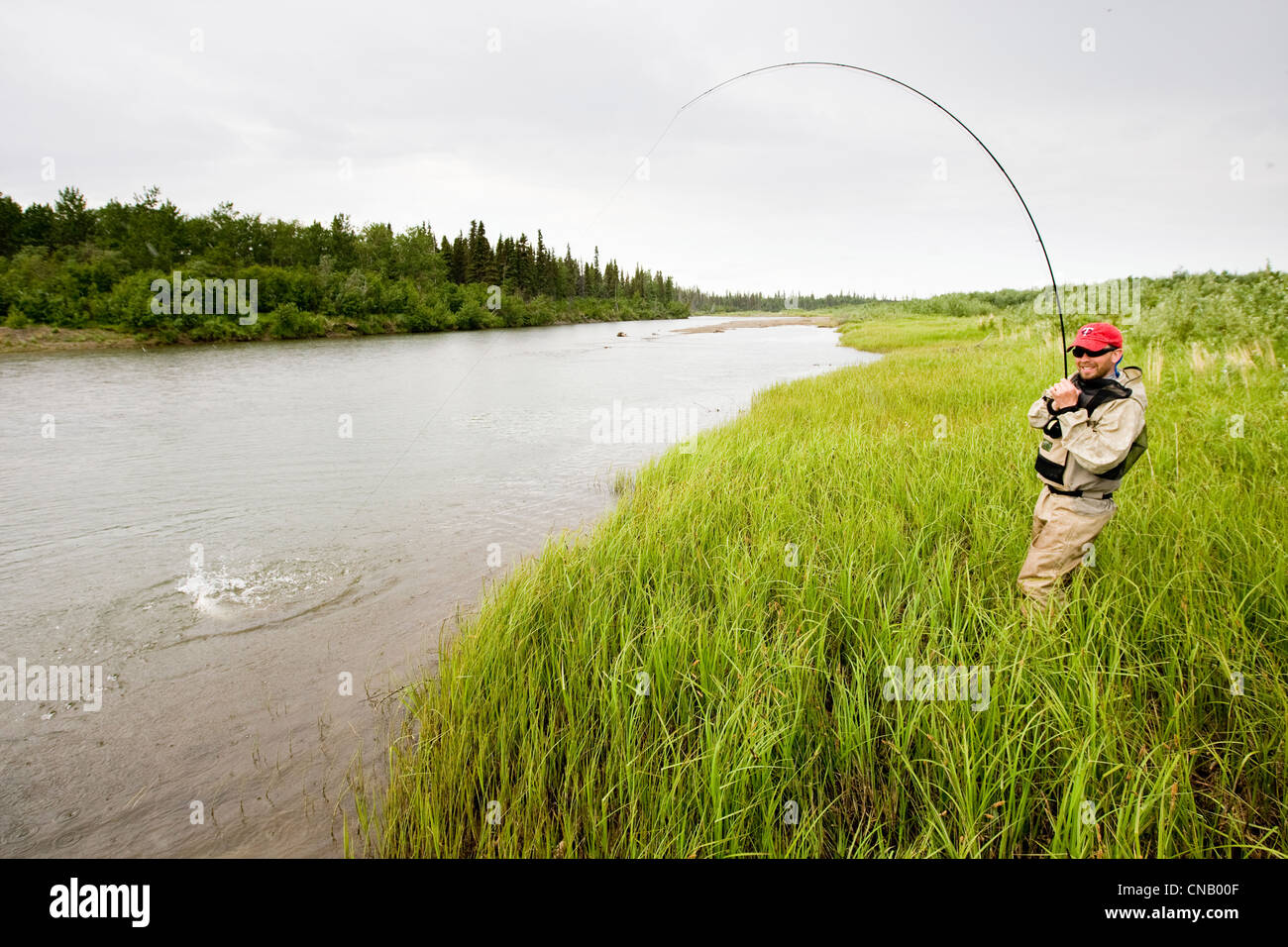 Combat un pêcheur à la mouche du saumon sur la rivière Mulchatna dans la région de la baie de Bristol, sud-ouest de l'Alaska, l'été Banque D'Images