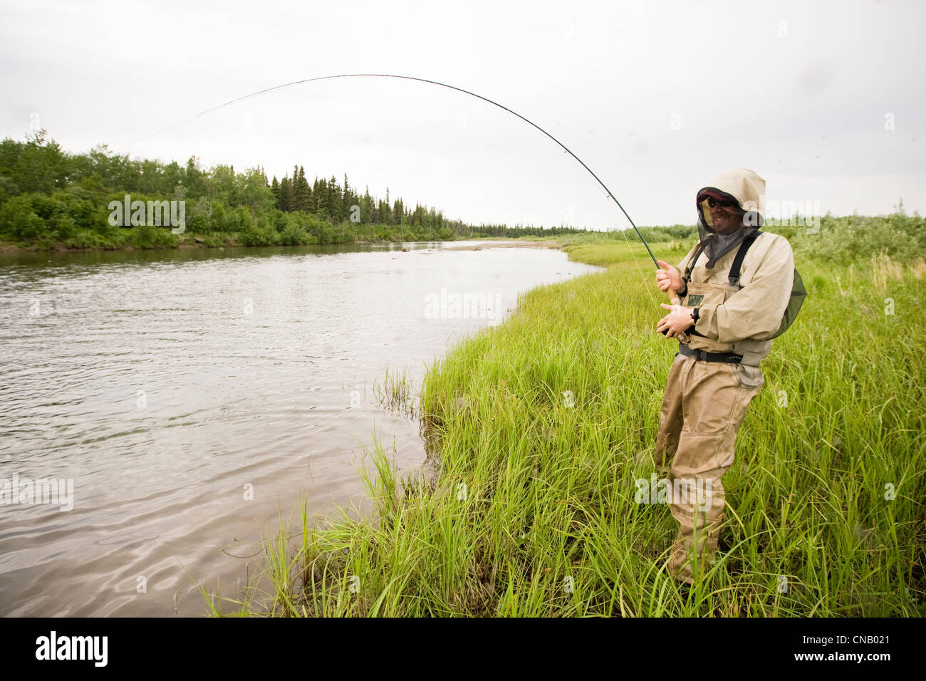 Pêcheur de mouche moustique le port de pêche du saumon sur la protection de la Mulchatna River dans la région de Bristol Bay, Alaska Banque D'Images