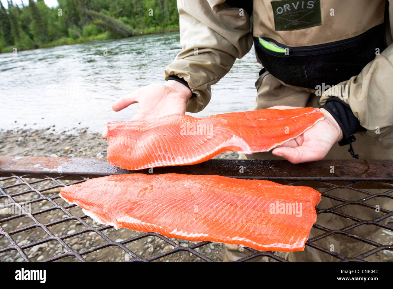 La pêche à la mouche avec un filet de saumon sockeye le long des rives de la rivière Mulchatna de la baie de Bristol, sud-ouest de l'Alaska, l'été Banque D'Images