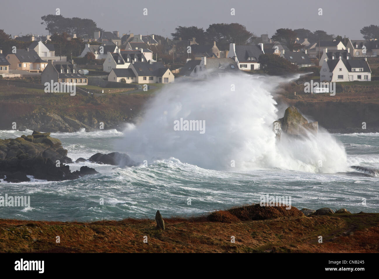 France, Manche, mer d'Iroise, Porspoder, la côte pendant une tempête Banque D'Images