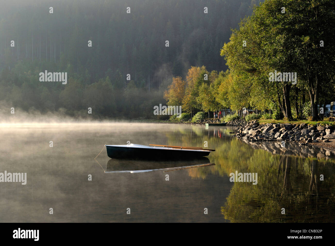 Allemagne, Forêt-Noire, Schwarzwald, Baden-Württemberg, lac de Titisee Banque D'Images