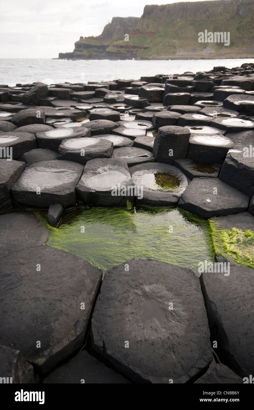 Royaume-uni, Irlande du Nord, county Antrim, la Chaussée des Géants classée au Patrimoine Mondial de l'UNESCO Banque D'Images