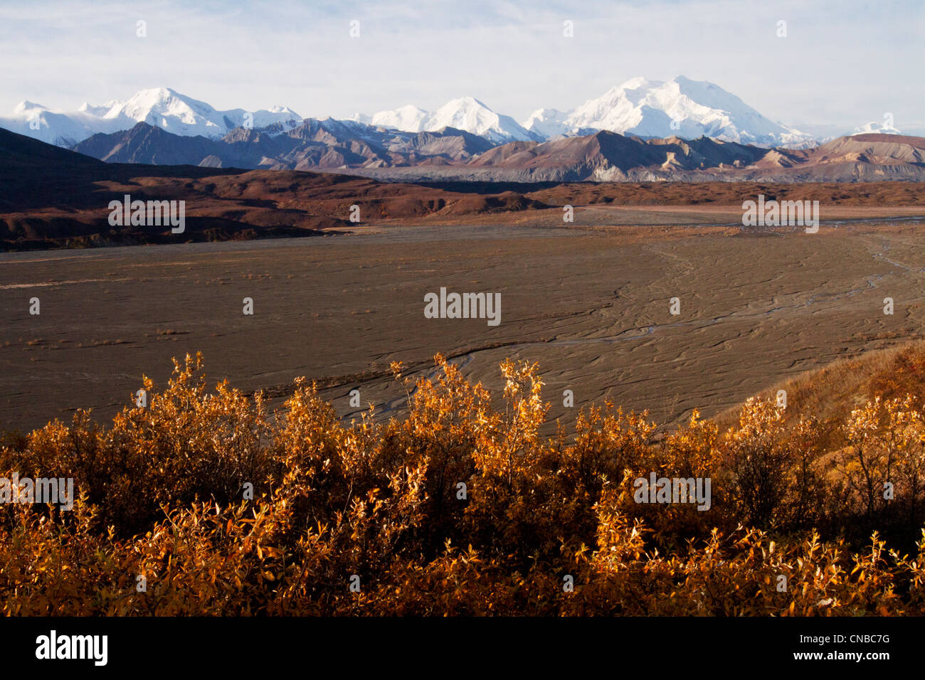 Scenic de l'automne feuillage coloré avec Mt. McKinley et la chaîne de l'Alaska dans l'arrière-plan, le Parc National Denali et préserver Banque D'Images