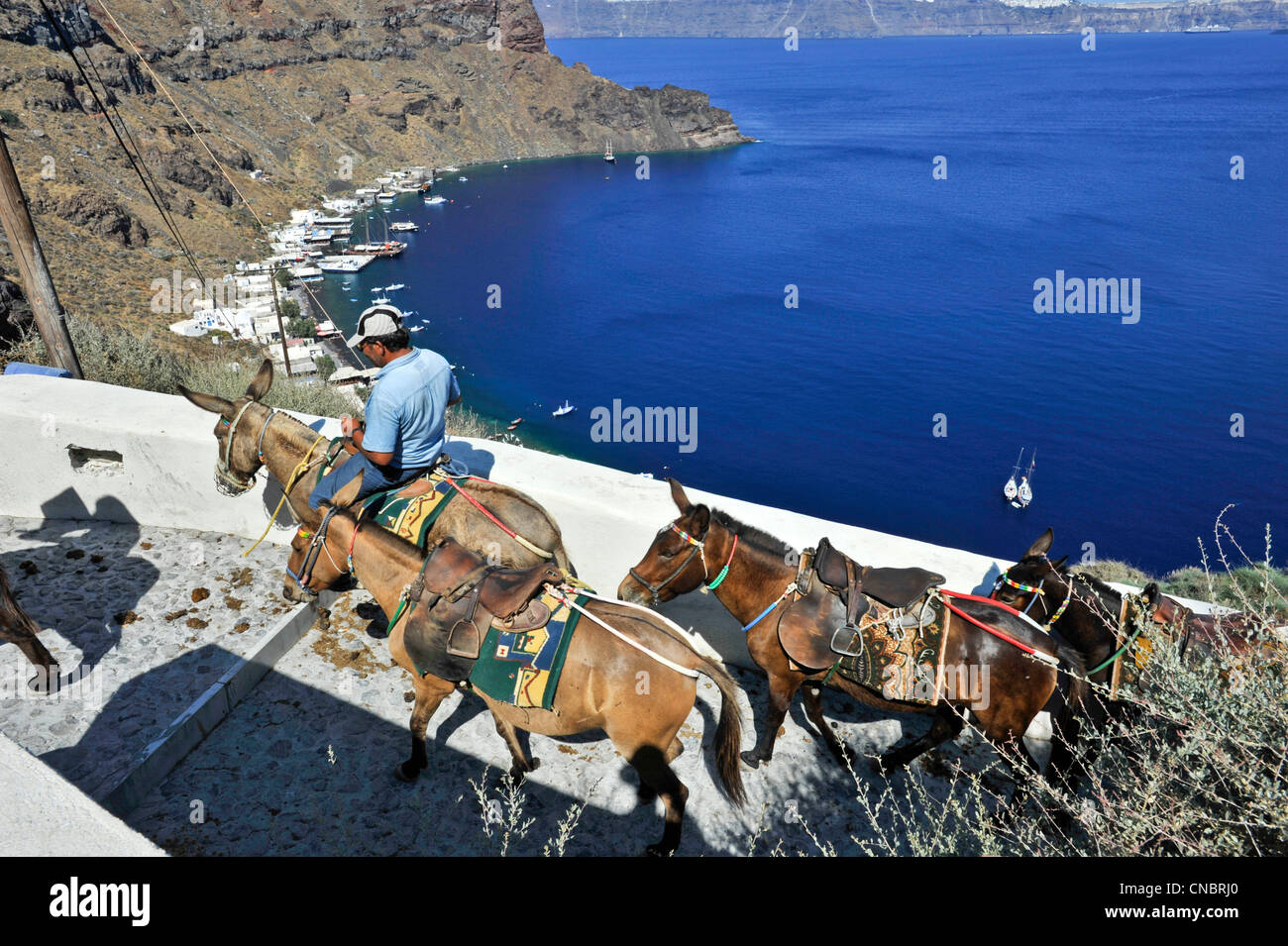 Europe Grèce Cyclades Santorin un âne Thirasia ride au village de Thirasia Banque D'Images