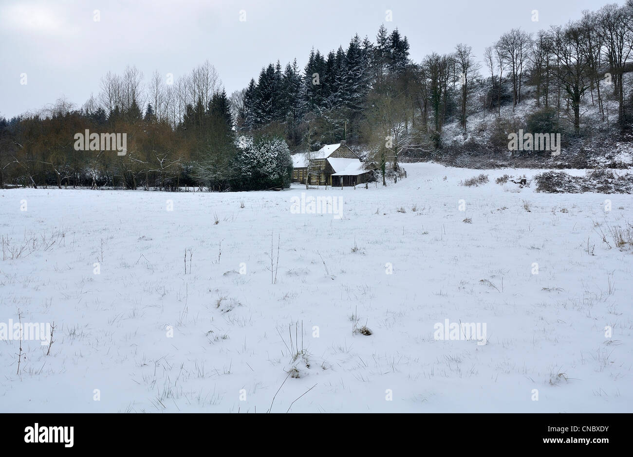 Les terres agricoles sous la neige, maison, vallée plantée de sapins et chênes (Nord Mayenne, Pays de la Loire, France, Europe). Banque D'Images