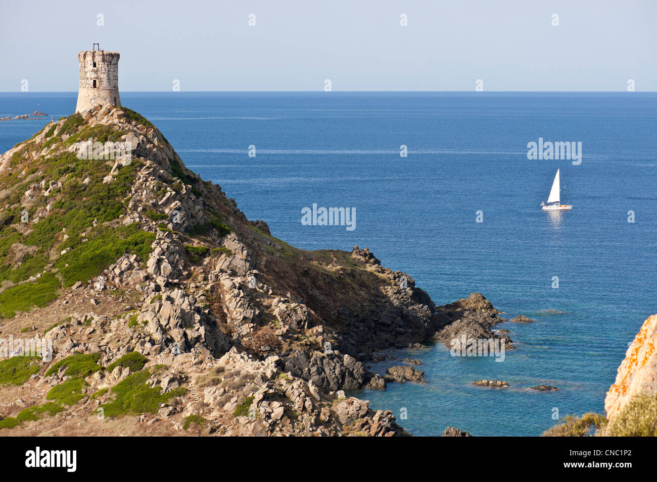 France, Corse du Sud, Golfe d'Ajaccio, les îles Sanguinaires Banque D'Images