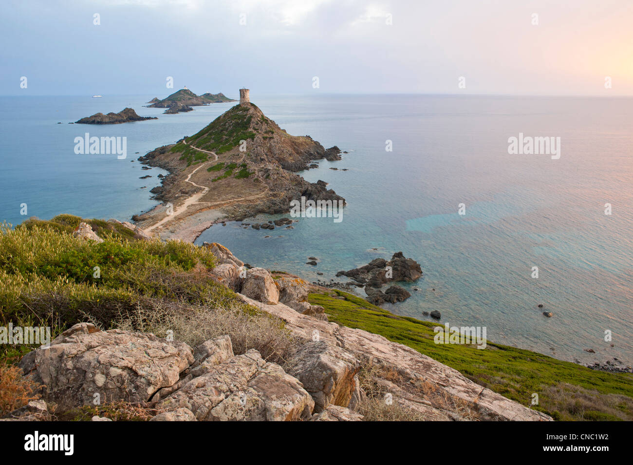 France, Corse du Sud, Golfe d'Ajaccio, les îles Sanguinaires Banque D'Images