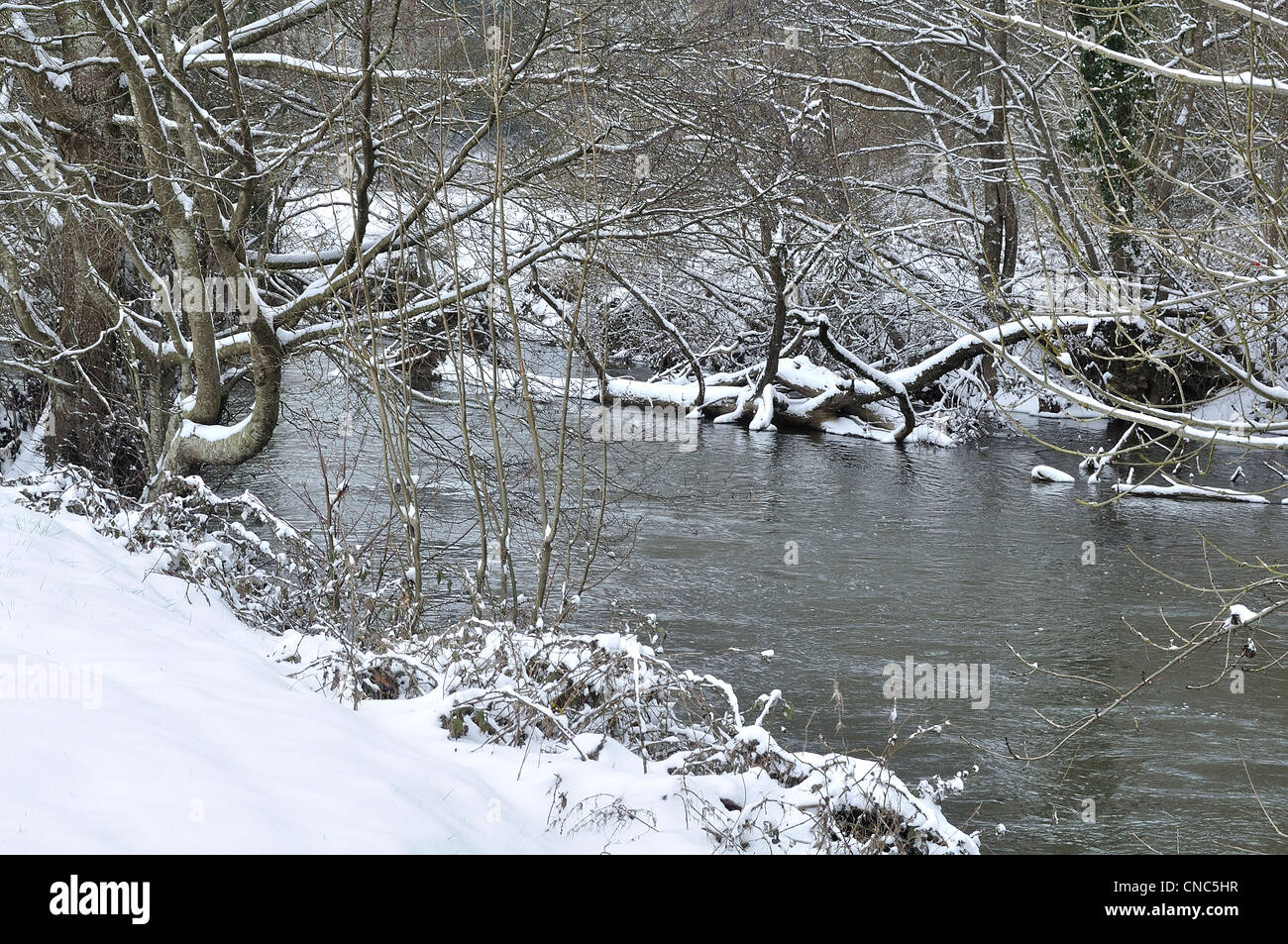 Une rivière sous la neige à l'hiver en Basse Normandie (France), rivière : La Varenne. Banque D'Images