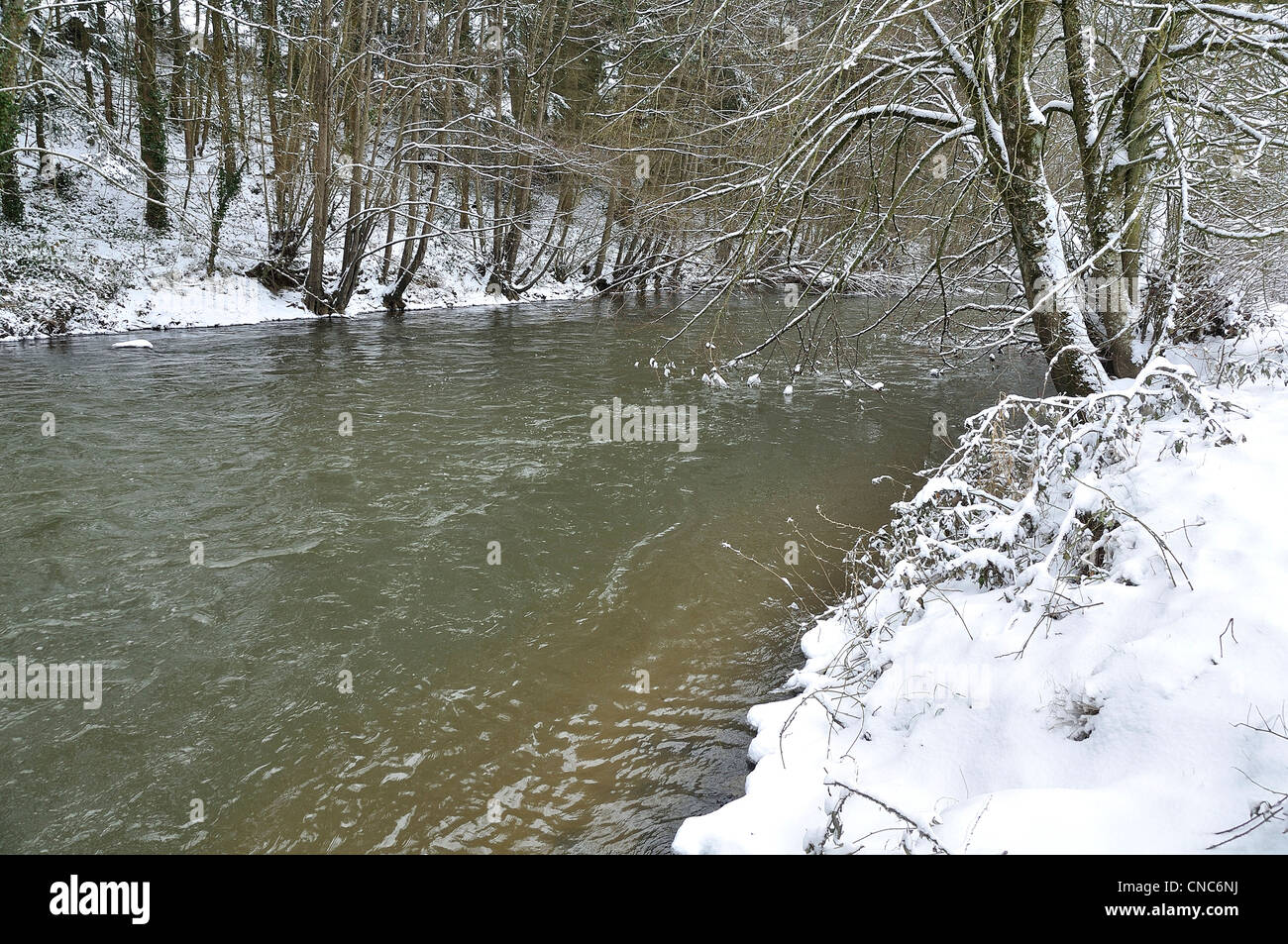 La rivière "La Varenne" sous la neige en hiver (au nord de la Mayenne, pays de la Loire, France, Europe. Banque D'Images
