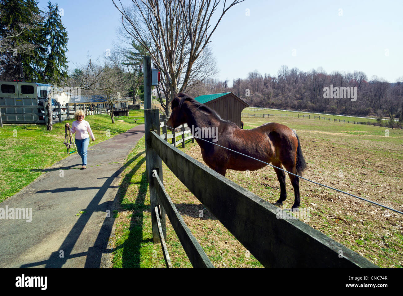 Femme et cheval à Hidden Valley Farm au Ridley Creek State Park, New Jersey, USA Banque D'Images