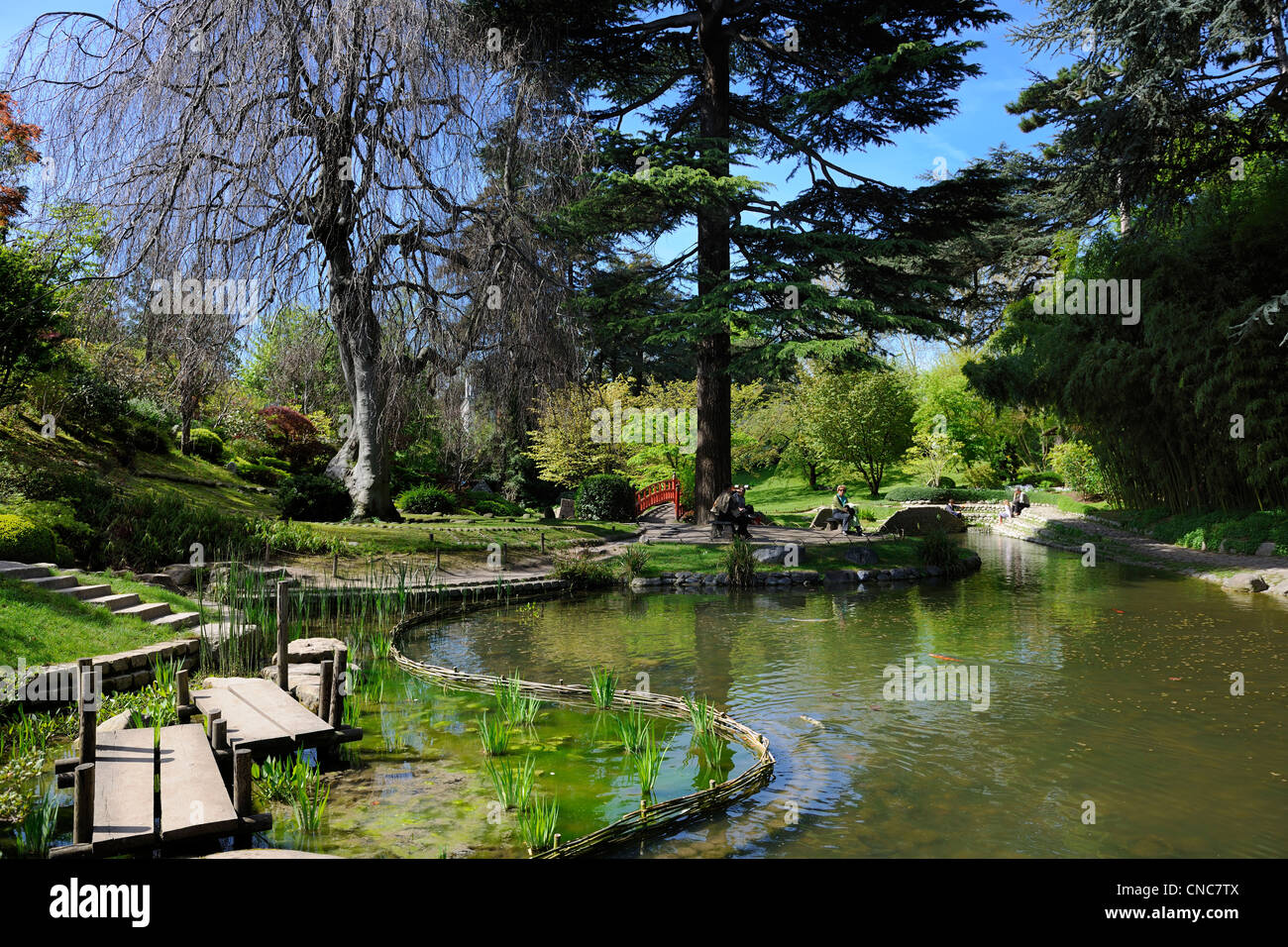 France, Hauts de Seine, Boulogne Billancourt, jardin japonais d'Albert Kahn musée départemental Banque D'Images