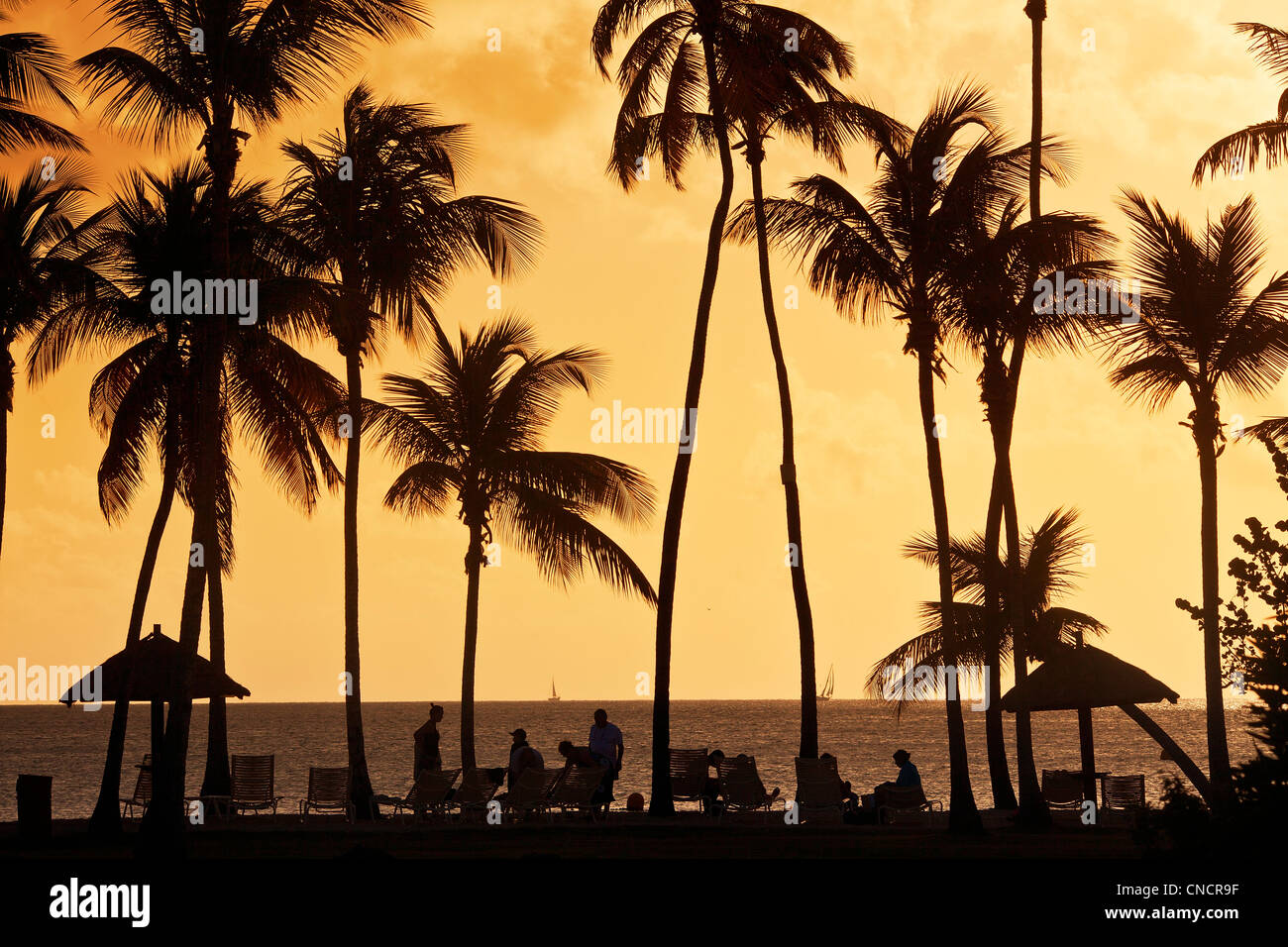 L'Amérique centrale, Caraïbes, Petites Antilles, Martinique, Ste.-Anne Beach Banque D'Images