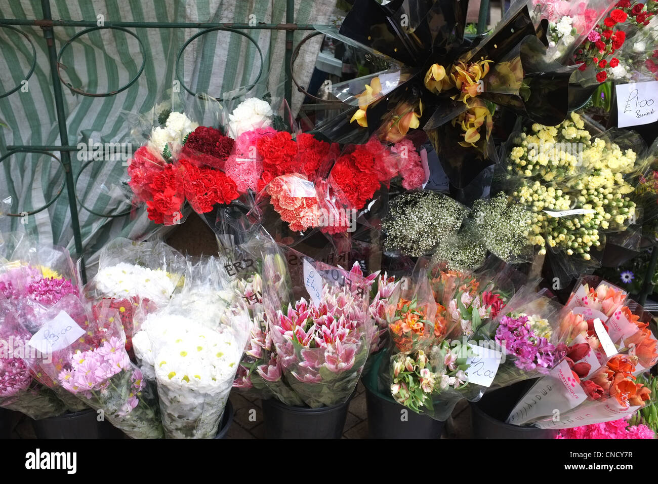 Les fleurs coupées en vente sur un étal du marché dans une rue Haute Banque D'Images