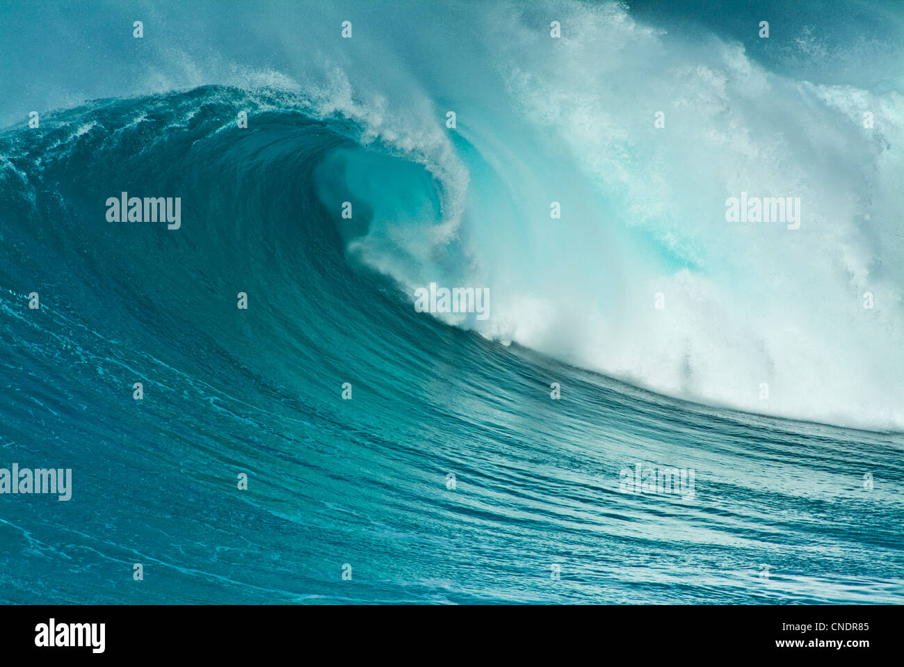 Big wave Surf wave se courbe au large de la plage de la côte ouest de Praia da Bordeira Carapateira sur l'Algarve Portugal Europe de l'UE Banque D'Images