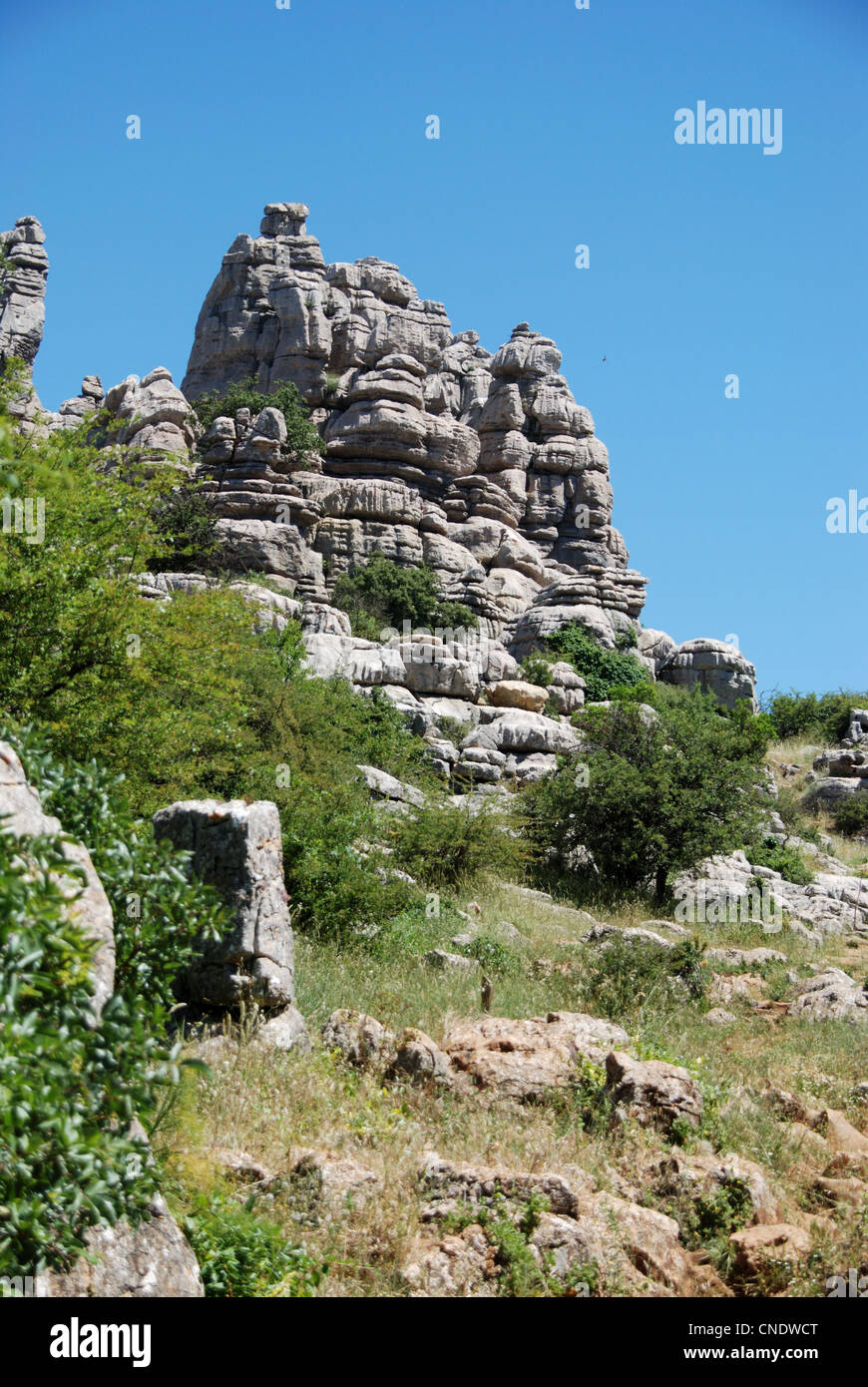 Paysage karstique, le parc national El Torcal, Torcal de Antequera, la province de Malaga, Andalousie, Espagne, Europe de l'Ouest. Banque D'Images