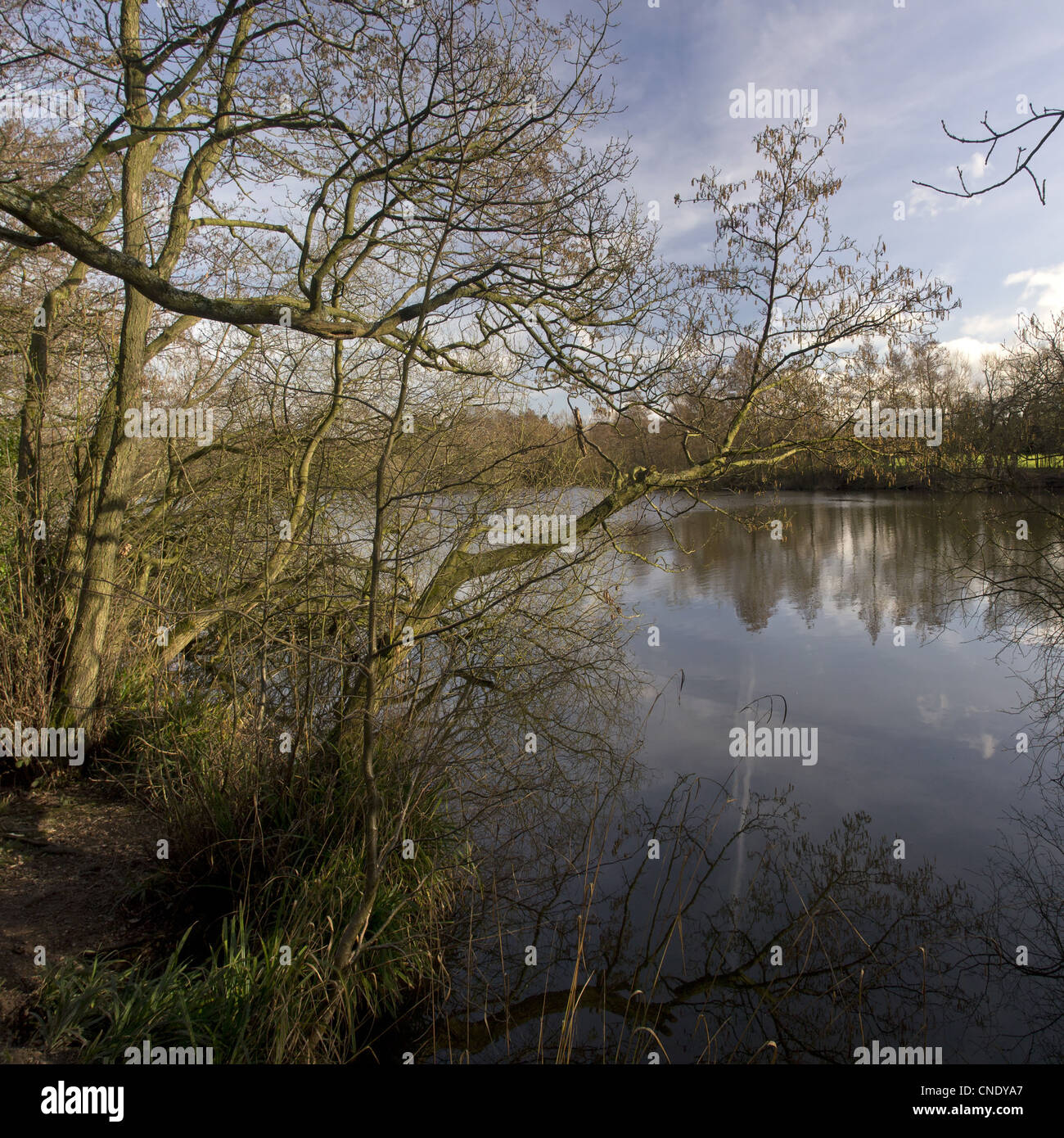 Images de l'angleterre Banque D'Images