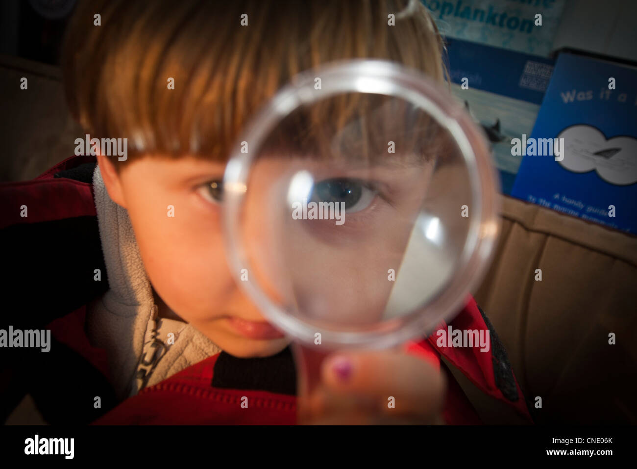 Enfant de l'école à l'aide d'une loupe dans un cours de biologie Banque D'Images