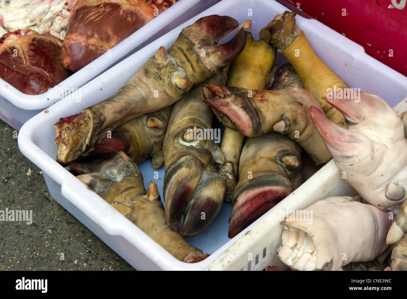 Pieds de porcs à la vente à un marché à Chengdu, Chine Banque D'Images