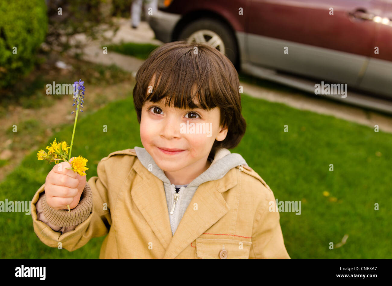 Une douce 4-year-old boy holding Flowers Banque D'Images