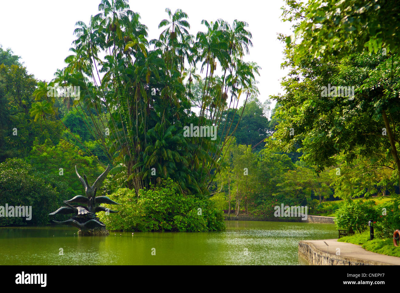 Swan sculpture dans les jardins botaniques de Singapour Banque D'Images