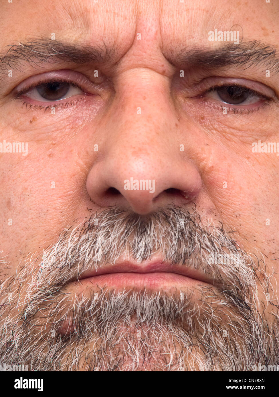 Extreme close up portrait of barbu Banque D'Images